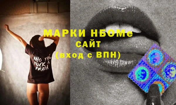 индика Вязники